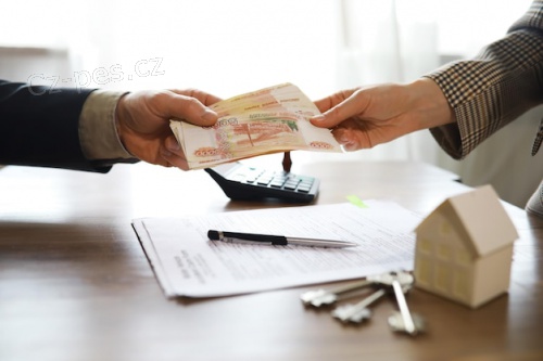 Nab�dka p�j�ek mezi jednotlivci