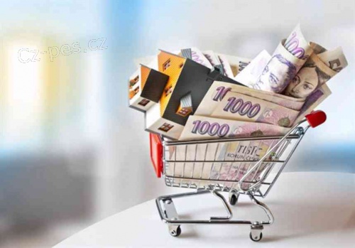 Rychl� a rychl� p�j�ka na investici.