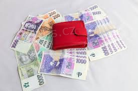 Rychl pjka na esk finance