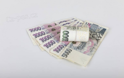 Rychl� nebankovn� p�j�ka