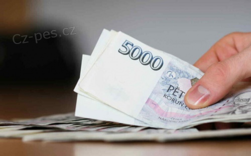 Rychl� a efektivn� p�j�ka