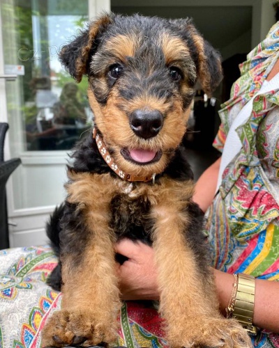 �t���tka erdelteri�r