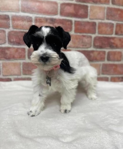 mal�ch kn�ra��/mal�ch kn�ra��