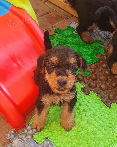 �t���tka erdelteri�r