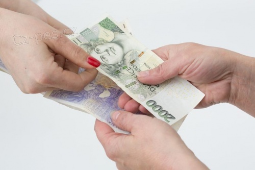 Rychl� a okam�it� p�j�ky