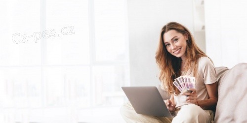 Investice a p�j�ky pro soukrom� podnikatele v �esk� republic