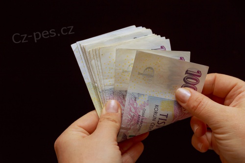 Rychl� a flexibiln� p�j�ka