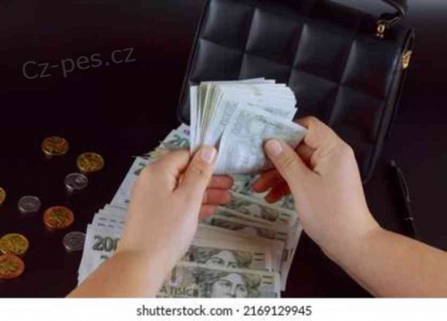 Rychl� financov�n� p�j�ek