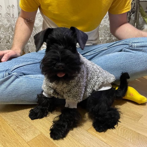 mal�ch kn�ra��