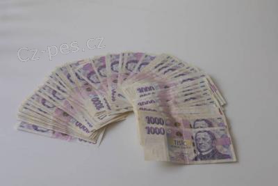 RYCHL� A SERI�ZN� FINAN�N� �E�EN�