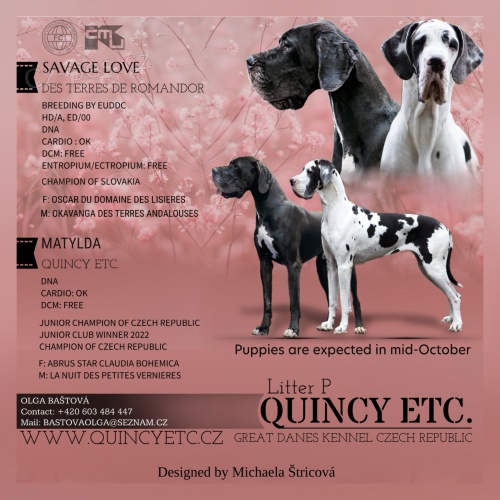 N�meck� doga -�t��ata s PP