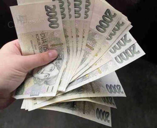 P�j�ky a asisten�n� �e�en�