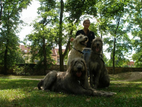 Ven�en� pejsk�