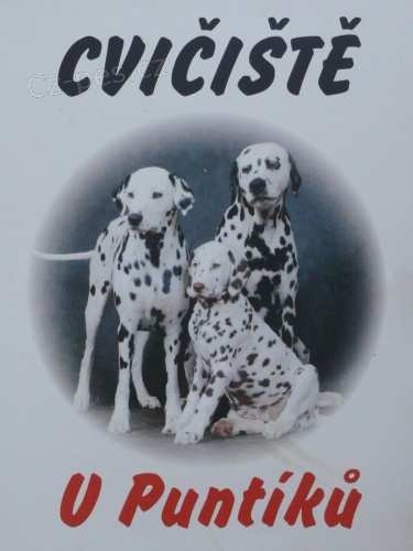 V�cvik v�ech plemen ps� - cvi�i�t� U Punt�k�