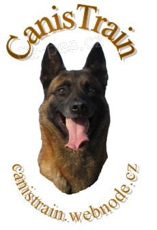 Individu�ln� v�cvik ps�