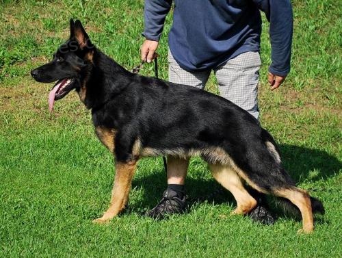 NO s PP, pracovn� rodi�e 