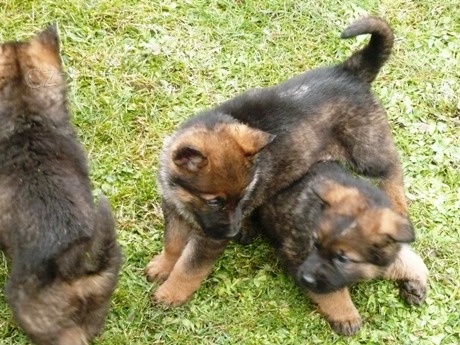 �t��ata NO s PP