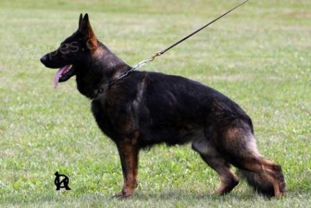 Nab�dka kryt� NO Karamel Anrebri