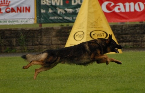 N�meck� ov��k �t��ata