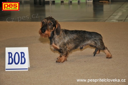 �t���tka drsnosrst�ch jezev��k�