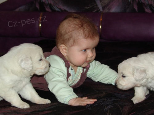 Slovensk� �uva�