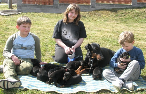 Dobrman �t��ata s PP