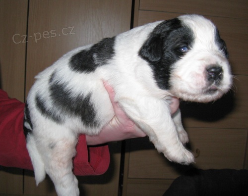 NAB�Z�ME �T���TKA