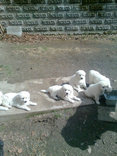 �t��ata Slovensk� �uva�