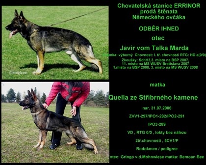 Prod�m �t�nata Nem�ck�ho ov��ka ODB�R IHNED