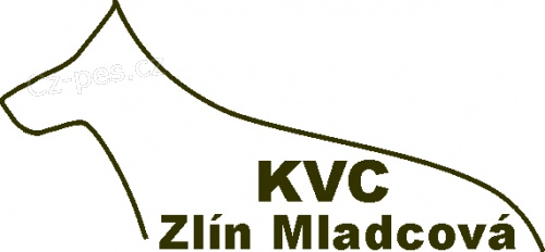 V�stava ps� bez PP a k��enc�