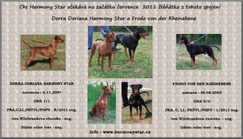 N�meck� pin� s PP