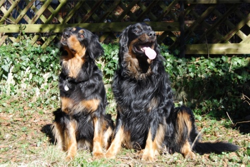  HOWAVART �T��ATA S PP