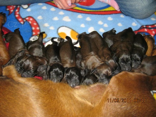 Bavorsk� barv��