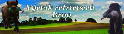 V�cvik retriever� Brno