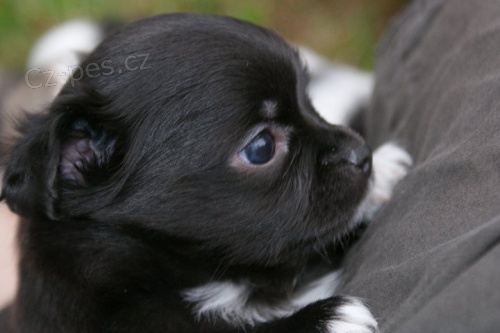 �IVAVA �T��ATA