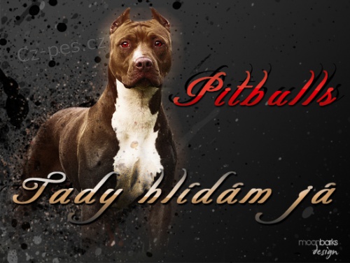 moonbarks - Design pro chovatele