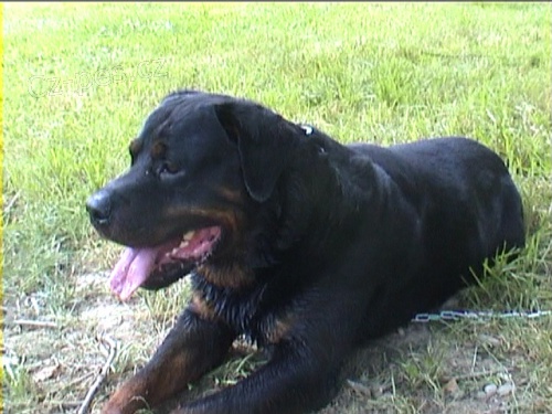 nab�z�m ke kryt�