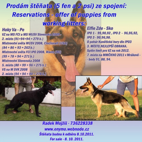 Beru z�znam na �t��ata zahrani�n� kryt�