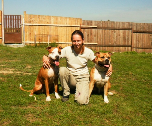 V�cvik a p�ev�chova