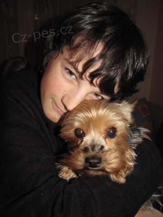 Prod�m �t�n� jork��rsk�ho teri�ra