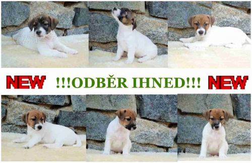 �t���tka JRT s PP k odb�ru ihned