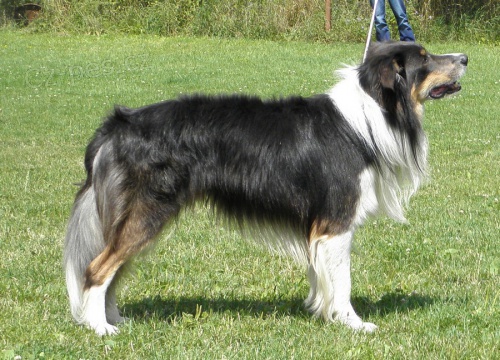 Nab�dka kryt� BOC