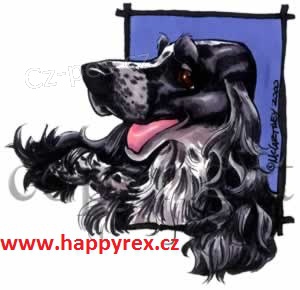 ST��H�N� PS� A KO�EK V PRAZE 