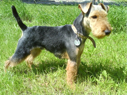 Vel�teri�r k pokryt�