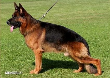 �t���tka NO s PP