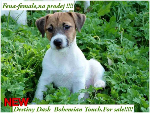 �t���tka JRT s PP k odb�ru!!