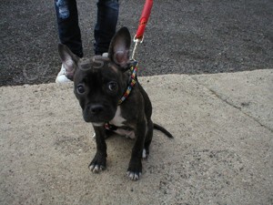 4m�s��n� �t�n�