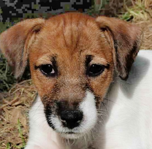 �t���tka JRT s PP k odb�ru