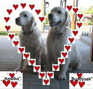 V�no�n� �t���tka 