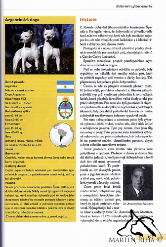 Kniha Bulteri��i